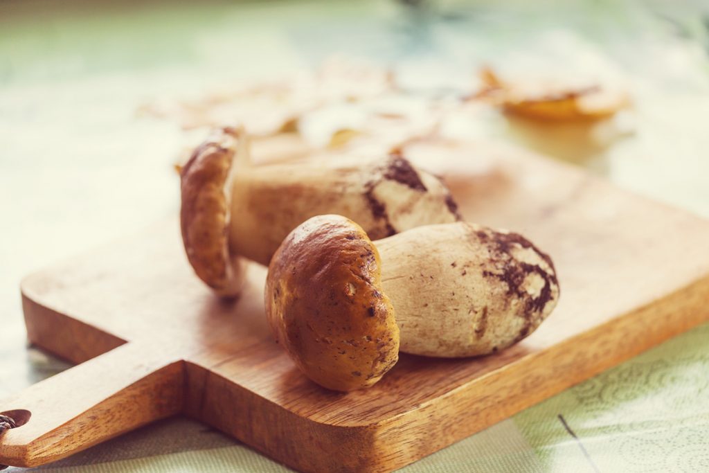 Mushrooms: Maybe Not Magical, But Possibly Medicinal