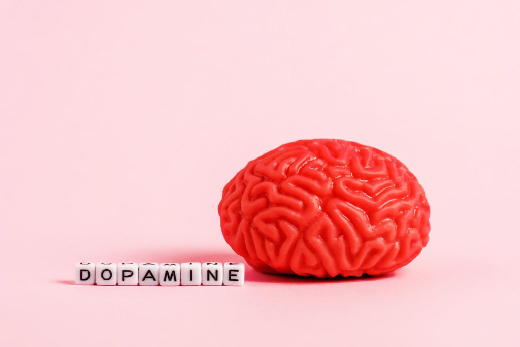 Dopamine Fasting